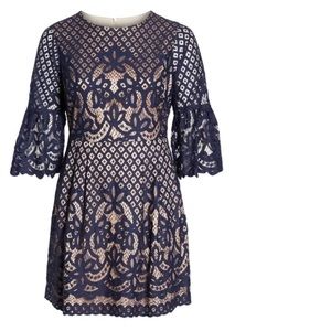 Navy Lace Eliza J Dress